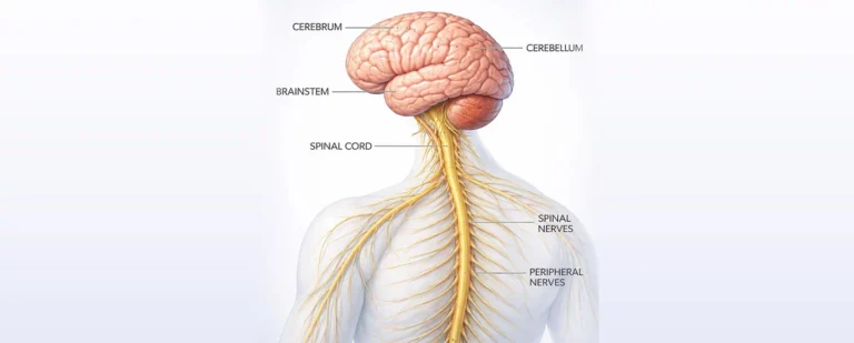 Neurological Disease
