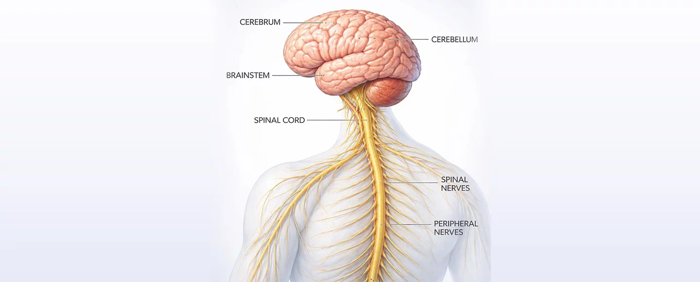 Neurological Disease